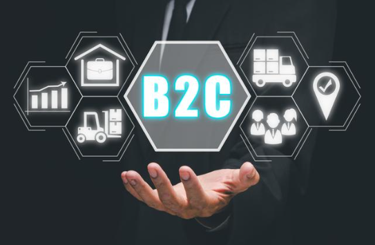 B2C模式有哪些网站类型?