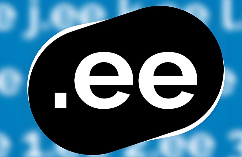 ee域名是什么,它有哪些独特价值和使用优势?