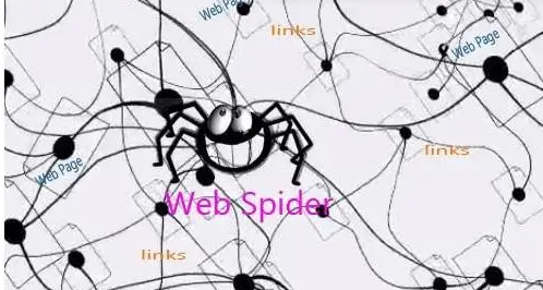 什么是蜘蛛搜索引擎,蜘蛛搜索引擎的作用和原理