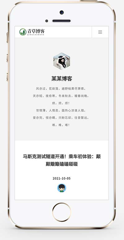 超级简洁一款博客文章自媒体网站源码+手机自适应