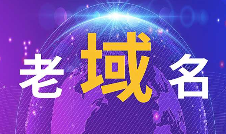 什么是老域名,详解老域名的核心特征与主要优势