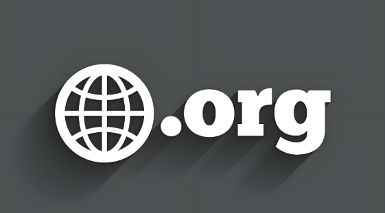.org域名代表什么,.org域名为什么禁止备案是哪个国家
